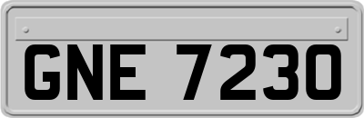 GNE7230