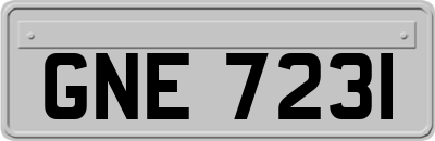 GNE7231