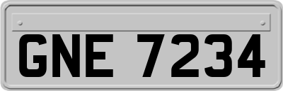 GNE7234