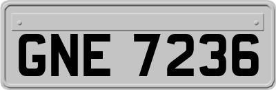 GNE7236