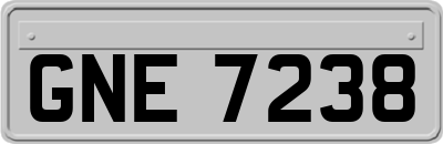 GNE7238
