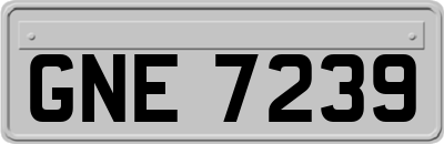 GNE7239