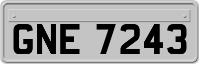 GNE7243