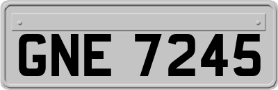 GNE7245