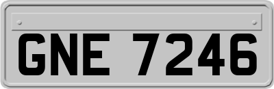 GNE7246