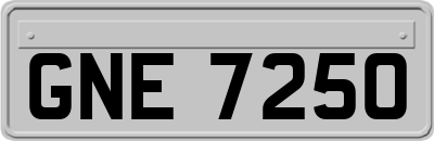 GNE7250