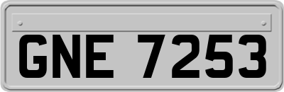 GNE7253