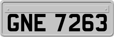 GNE7263