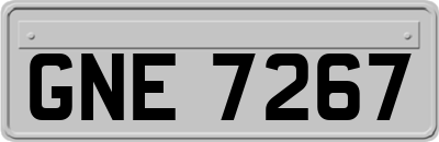 GNE7267