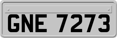 GNE7273
