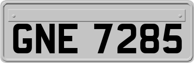 GNE7285