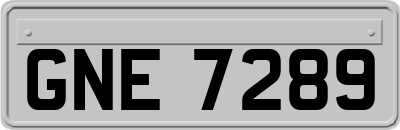 GNE7289