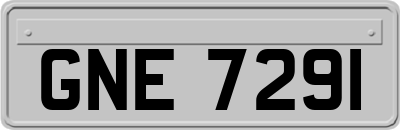 GNE7291