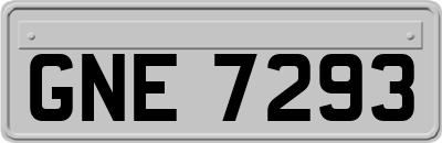 GNE7293