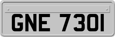 GNE7301
