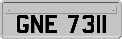 GNE7311