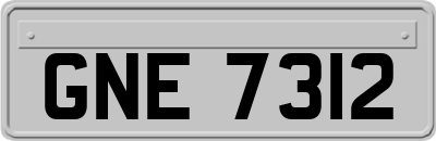 GNE7312