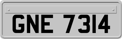 GNE7314
