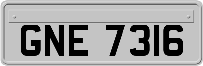 GNE7316