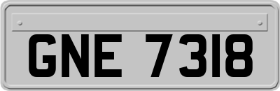 GNE7318