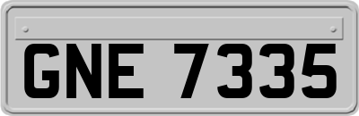 GNE7335