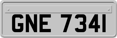 GNE7341