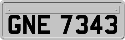 GNE7343