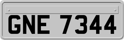GNE7344