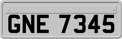 GNE7345
