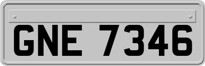 GNE7346