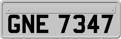 GNE7347