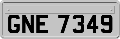 GNE7349