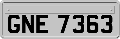 GNE7363