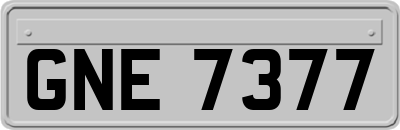 GNE7377