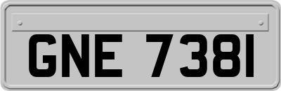 GNE7381