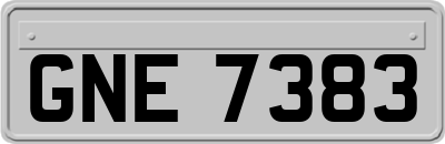 GNE7383