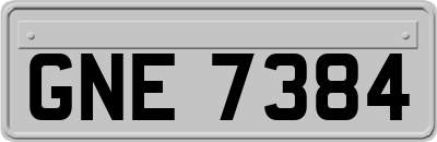 GNE7384