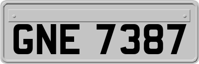 GNE7387