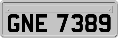 GNE7389