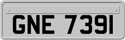 GNE7391