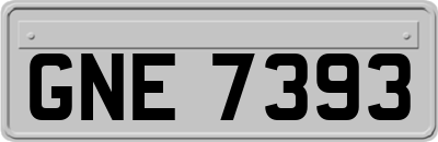 GNE7393