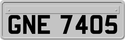 GNE7405