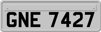 GNE7427