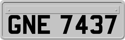 GNE7437