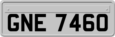 GNE7460