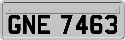 GNE7463