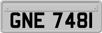GNE7481