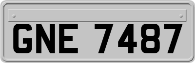 GNE7487