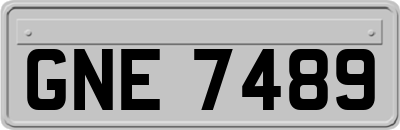 GNE7489