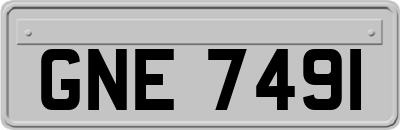 GNE7491